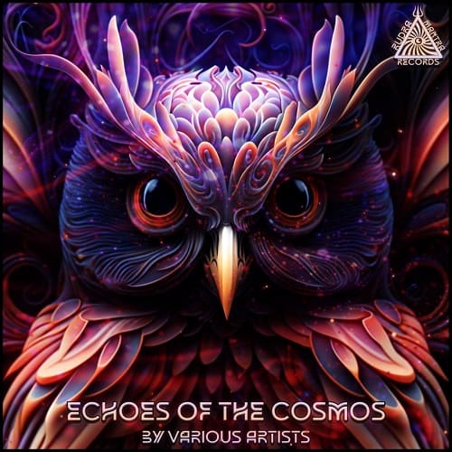 Echoes Of The Cosmos (2025)