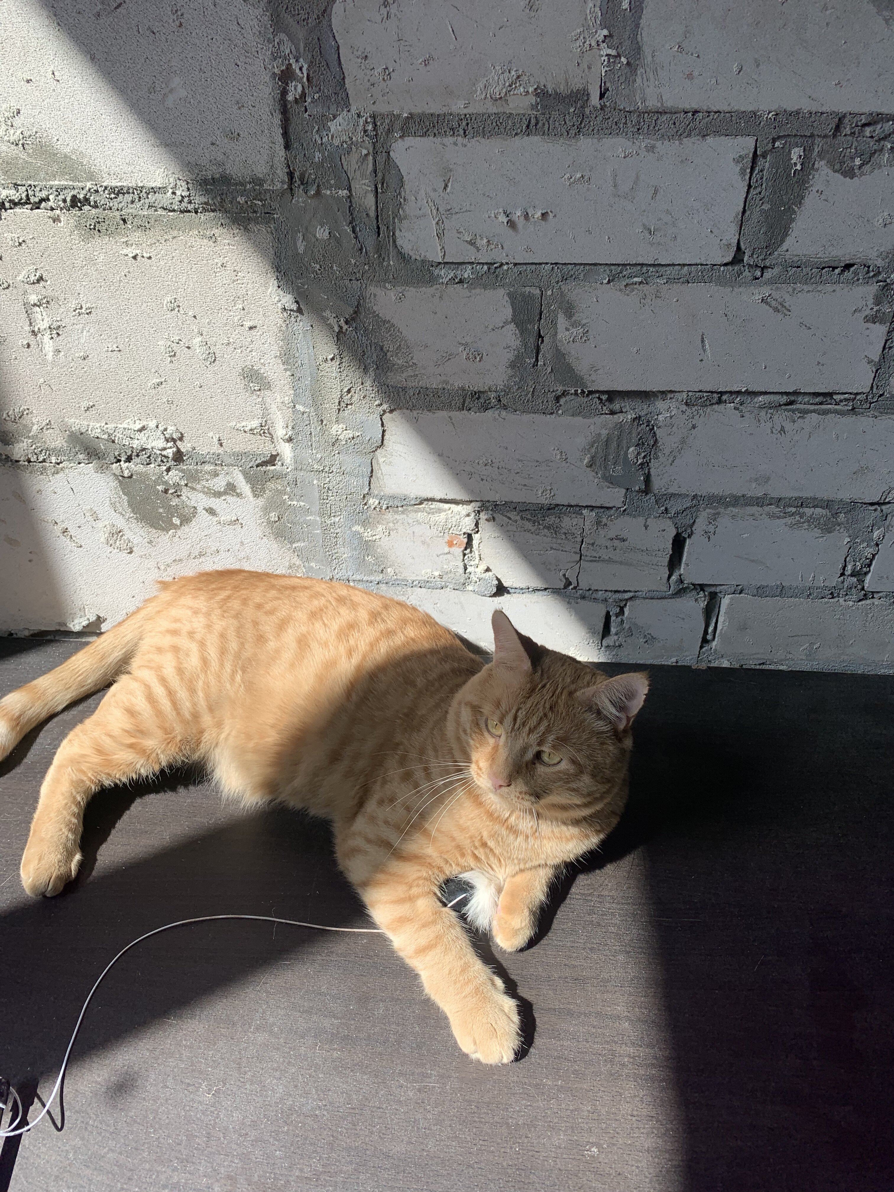img_3857.jpeg