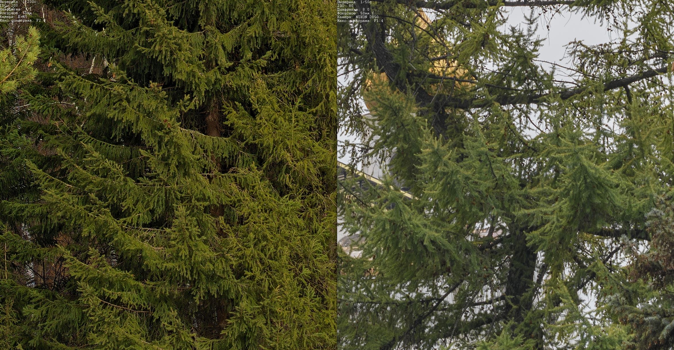 compare3.jpg