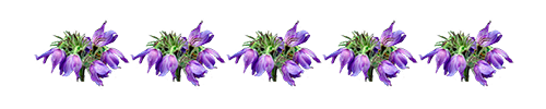 112215064_10.png