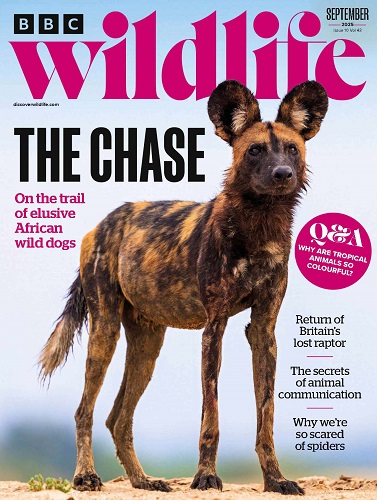 stranitsy-iz-bbc-wildlife-2025-n10-september.jpg