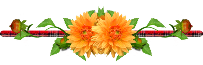 97325065_divider1.png