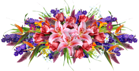 ffd02d983ae824a6d6bcfa5d56d30657.png