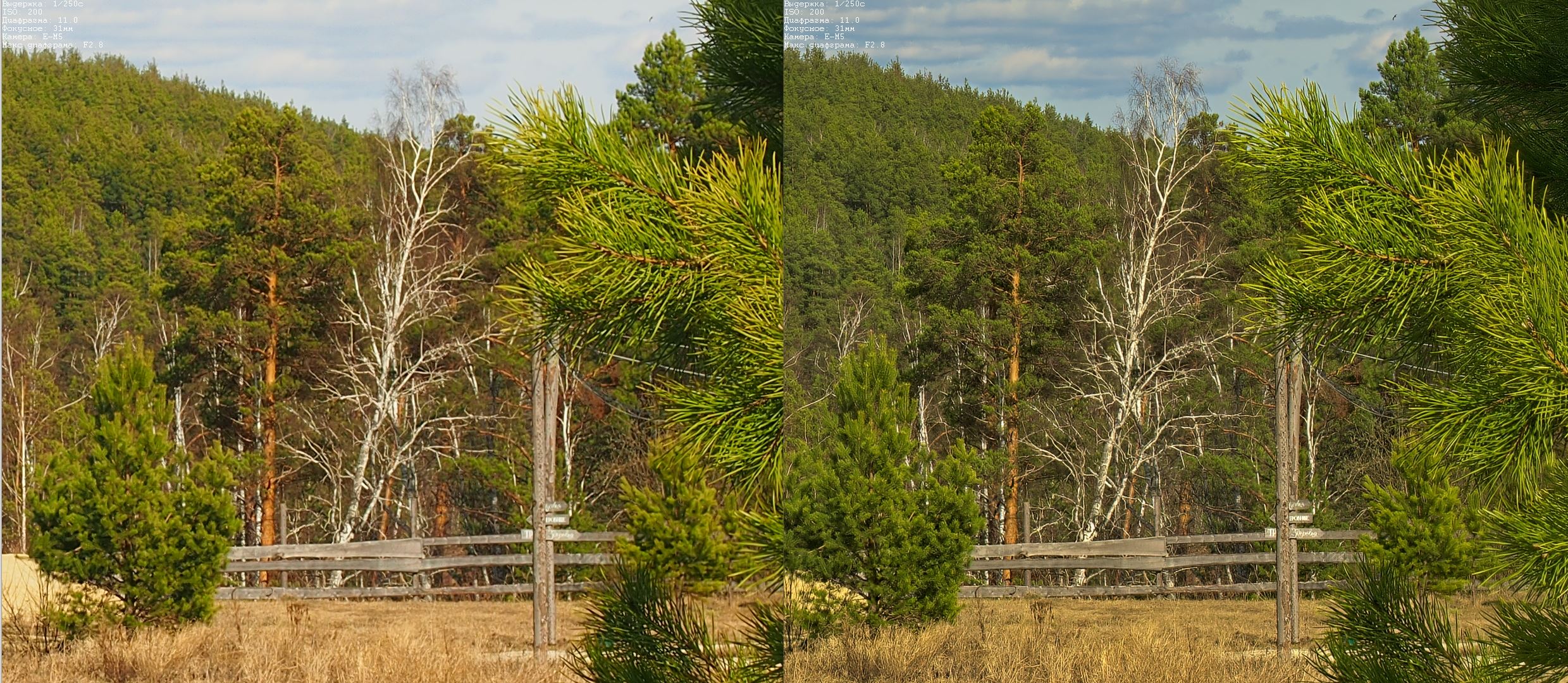 difractcorrection.jpg