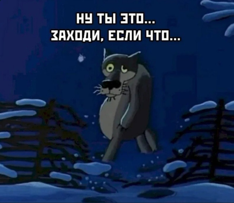 snimok.jpg