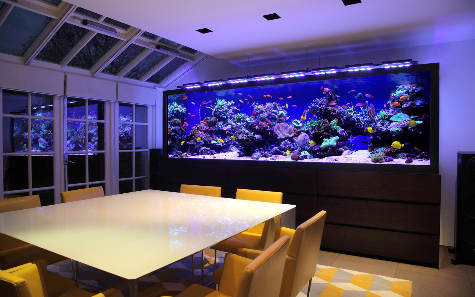 Морской аквариум в интерьере квартиры или дома