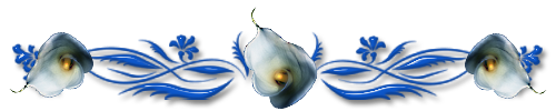 154967003_4059776_127877752_3056.png