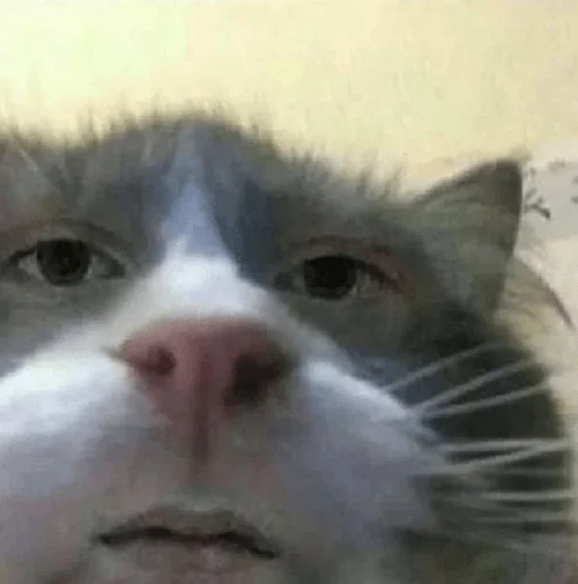 screenshot_1.jpg