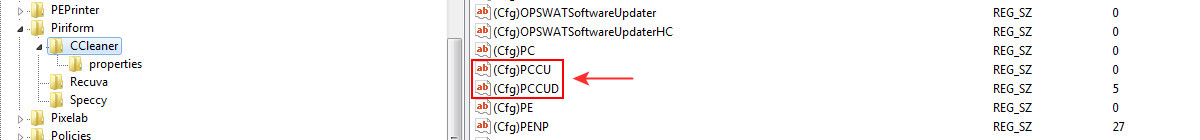 ccleaner_params.jpg