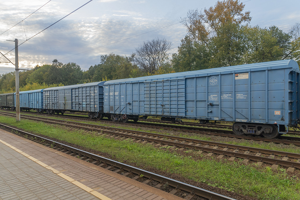 dsc06704.jpg
