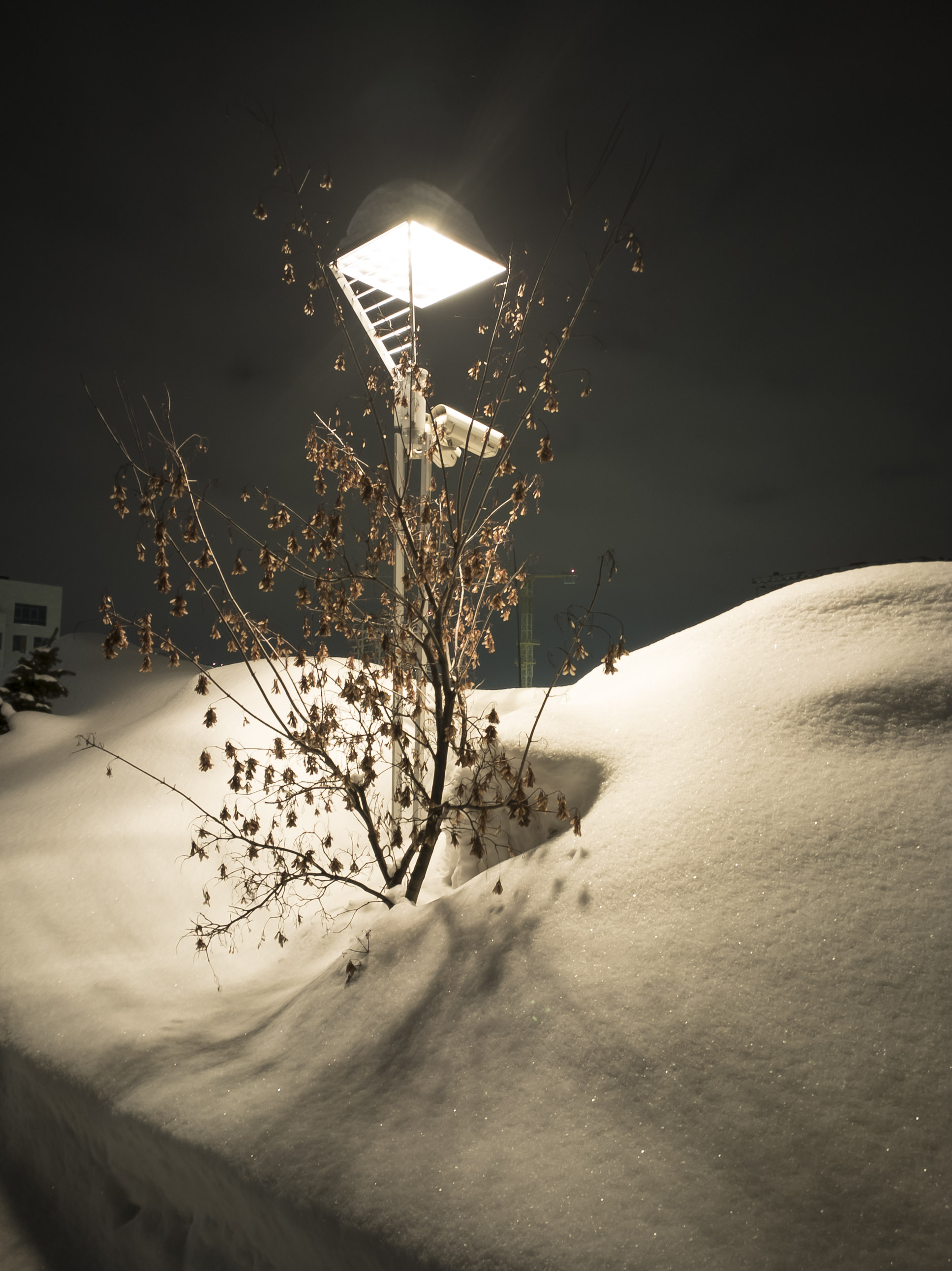 20240221_190735_lmc_84night.jpg