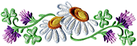 905b1a4905d2.png