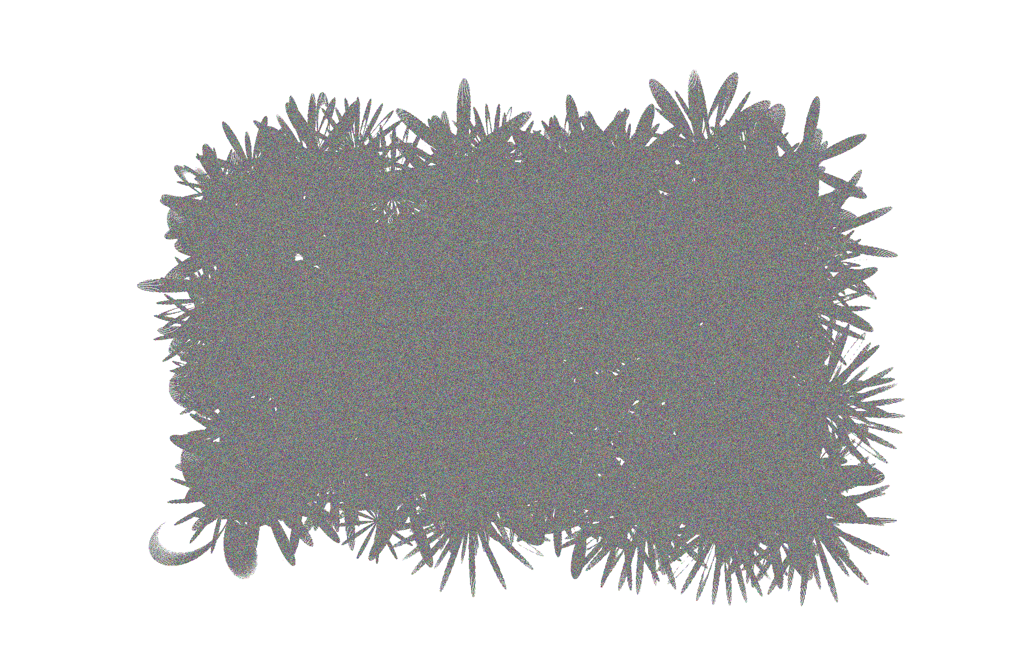 anima.png