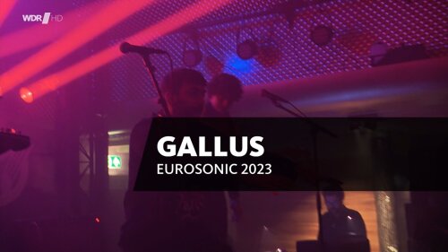 bscap0001 - Gallus - Eurosonic Festival (2023) HDTV