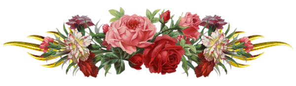 77157192_72367476_1300702448_rpazdelitel__rozuy.png