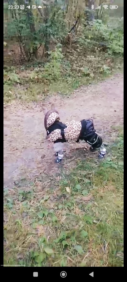 1758659061390.jpg