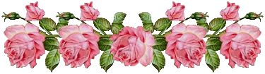 3eed2a8c7796fb6f1622c596e1adf8de.gif