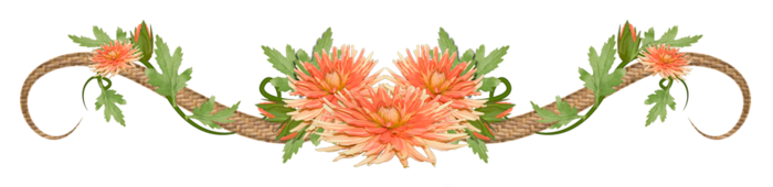 97325068_divider5.png