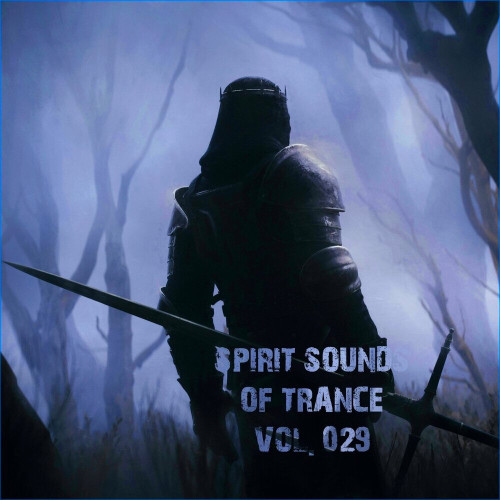 Various Artists - Spirit Sounds Of Trance Vol 29 (Extended Mixes)