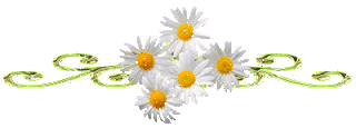 07b7da3f7ba33311cc7ac9b468810c0e.gif