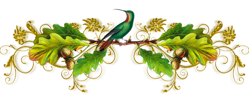 7497b8f7edadbeaf7bdec713965b5aa4.png