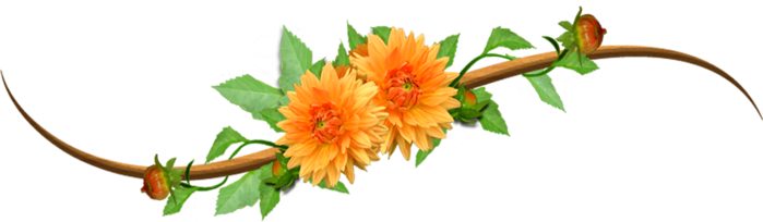 97325064_bivider2.png