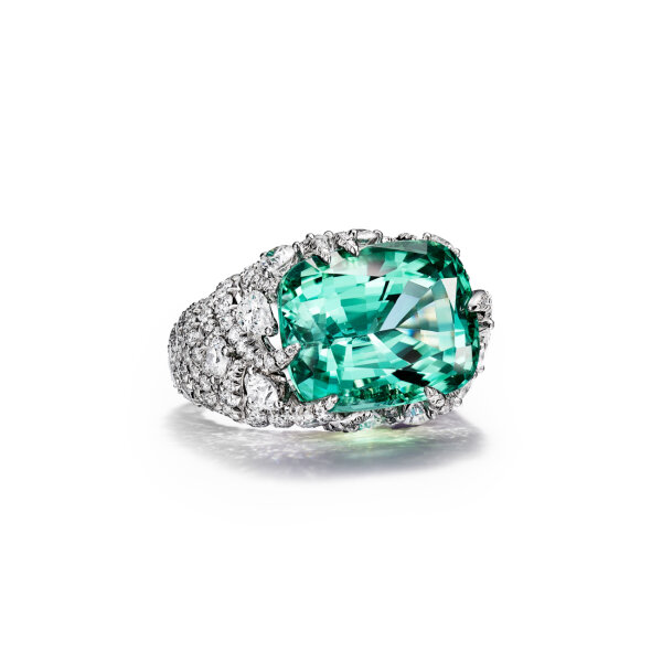 tiffany___co_aquatic_blue_book_shell_paraiba_and_diamond_ring.jpg