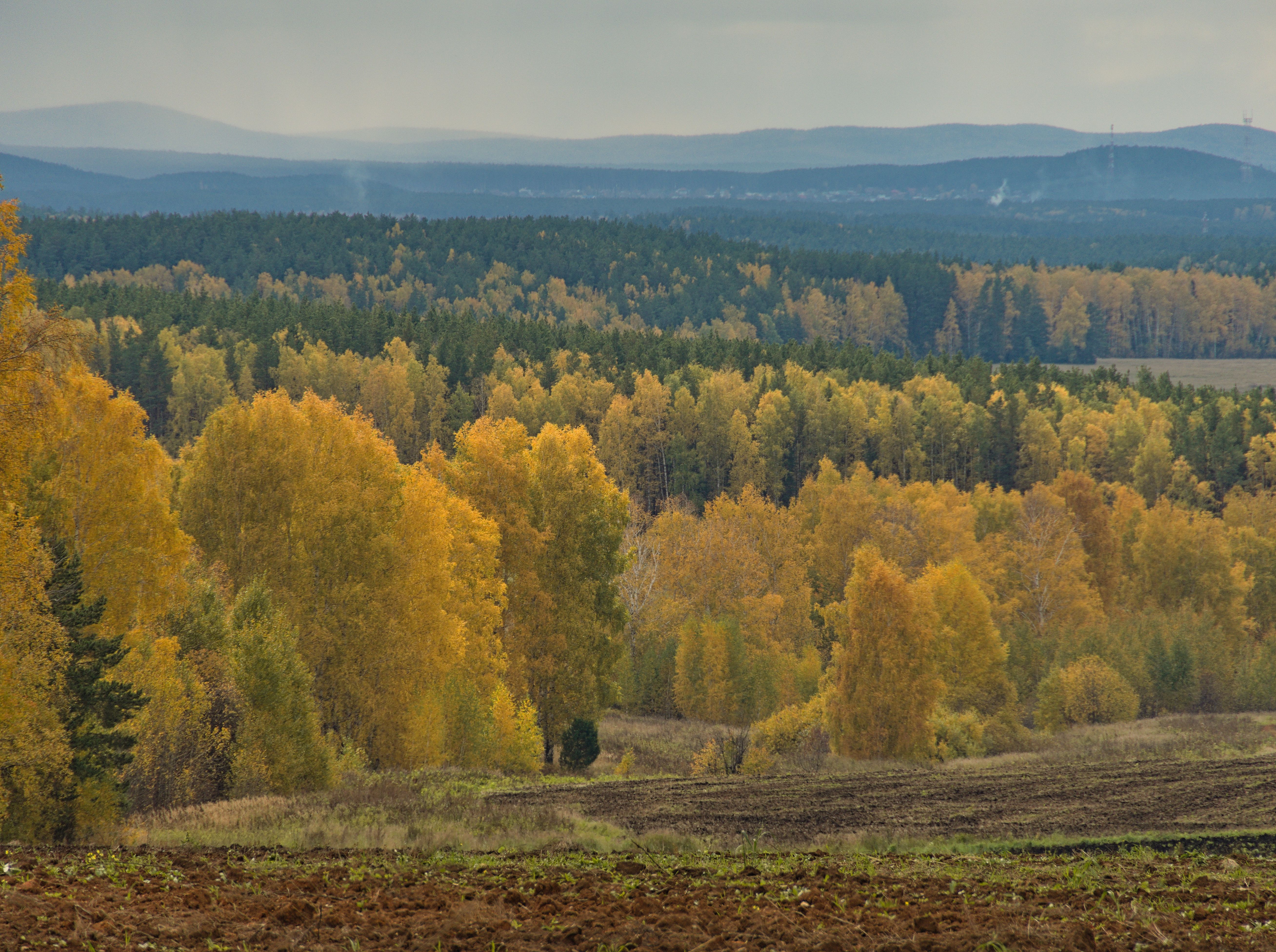 p1012310.jpg