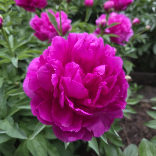 user posted image