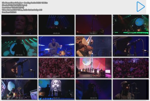 Liam Gallagher - Reading Festival (2024) HDTV Ligarf