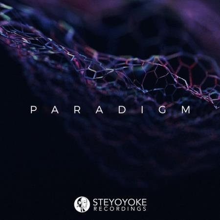 Steyoyoke Paradigm, Vol. 06 (2020)