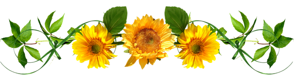 71119f2e1ad2372d860d9188f85b4251.png