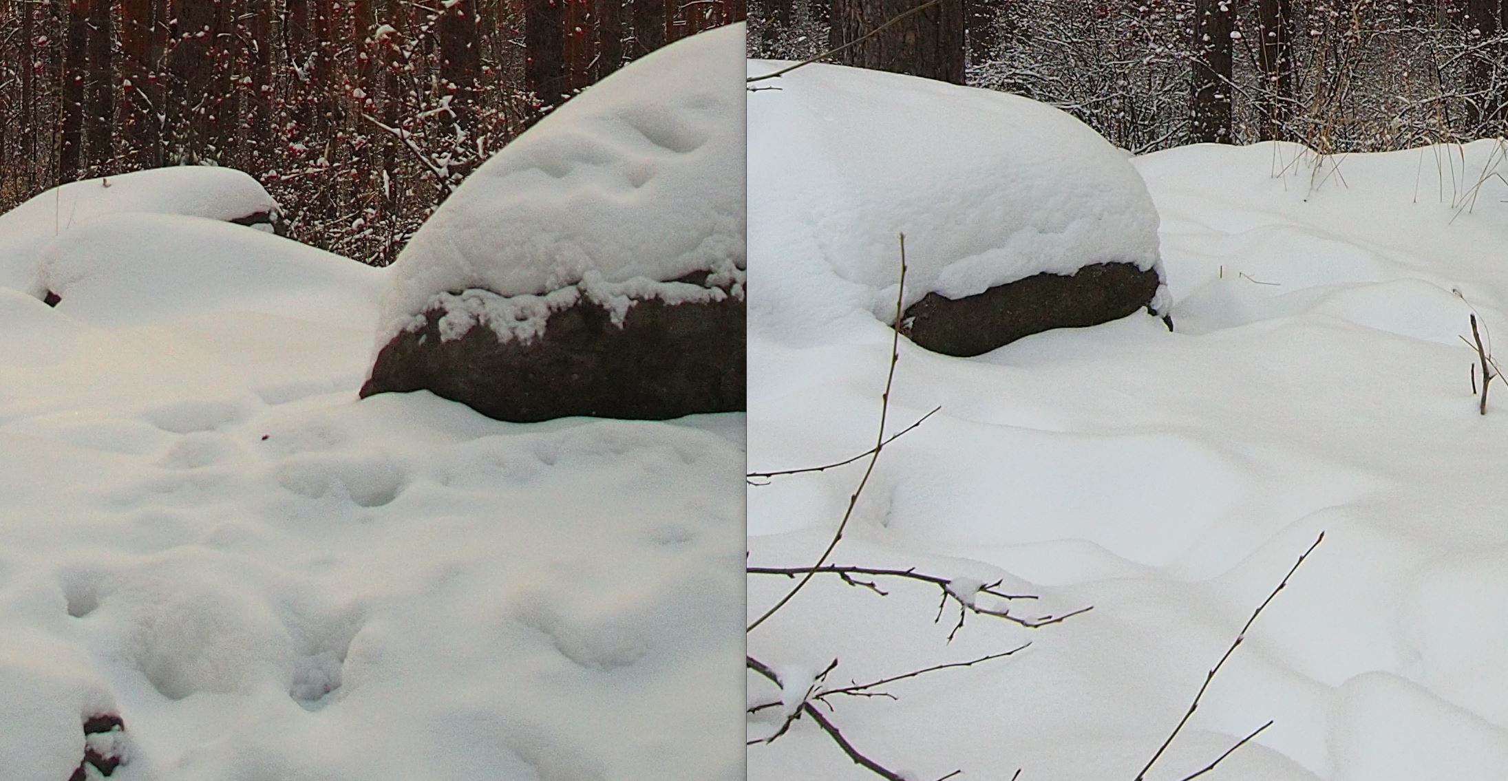 compare4.jpg