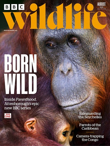 stranitsy-iz-bbc-wildlife-2025-n9-august.jpg