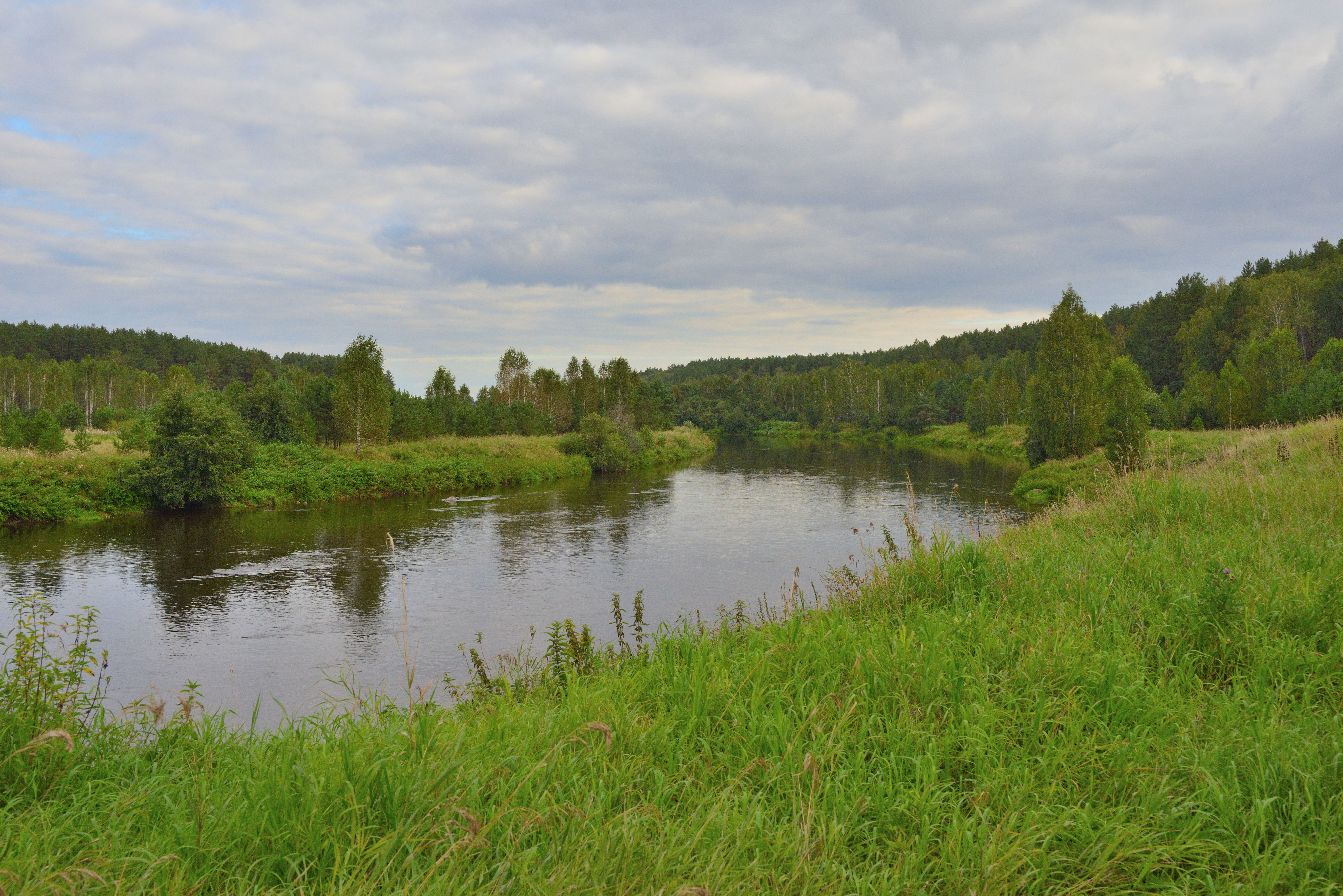 dsc_2604.jpg