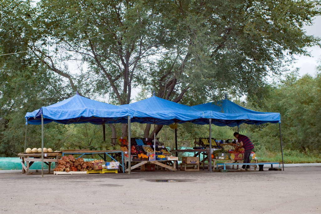 r0002703.jpg