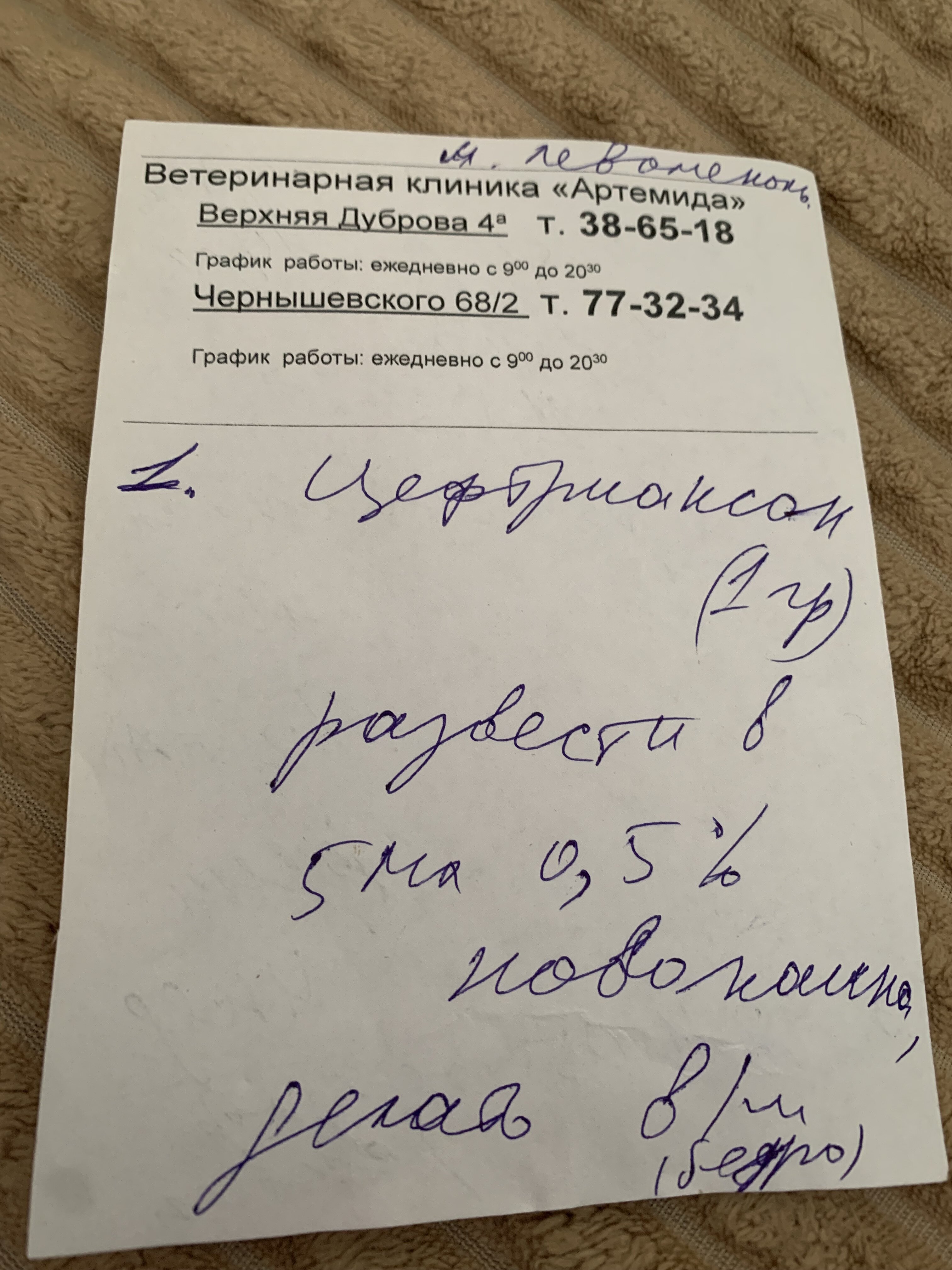 img_1249.jpeg