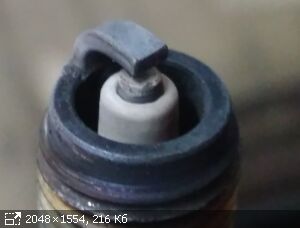 img_20230711_1515464425729.jpg?nc