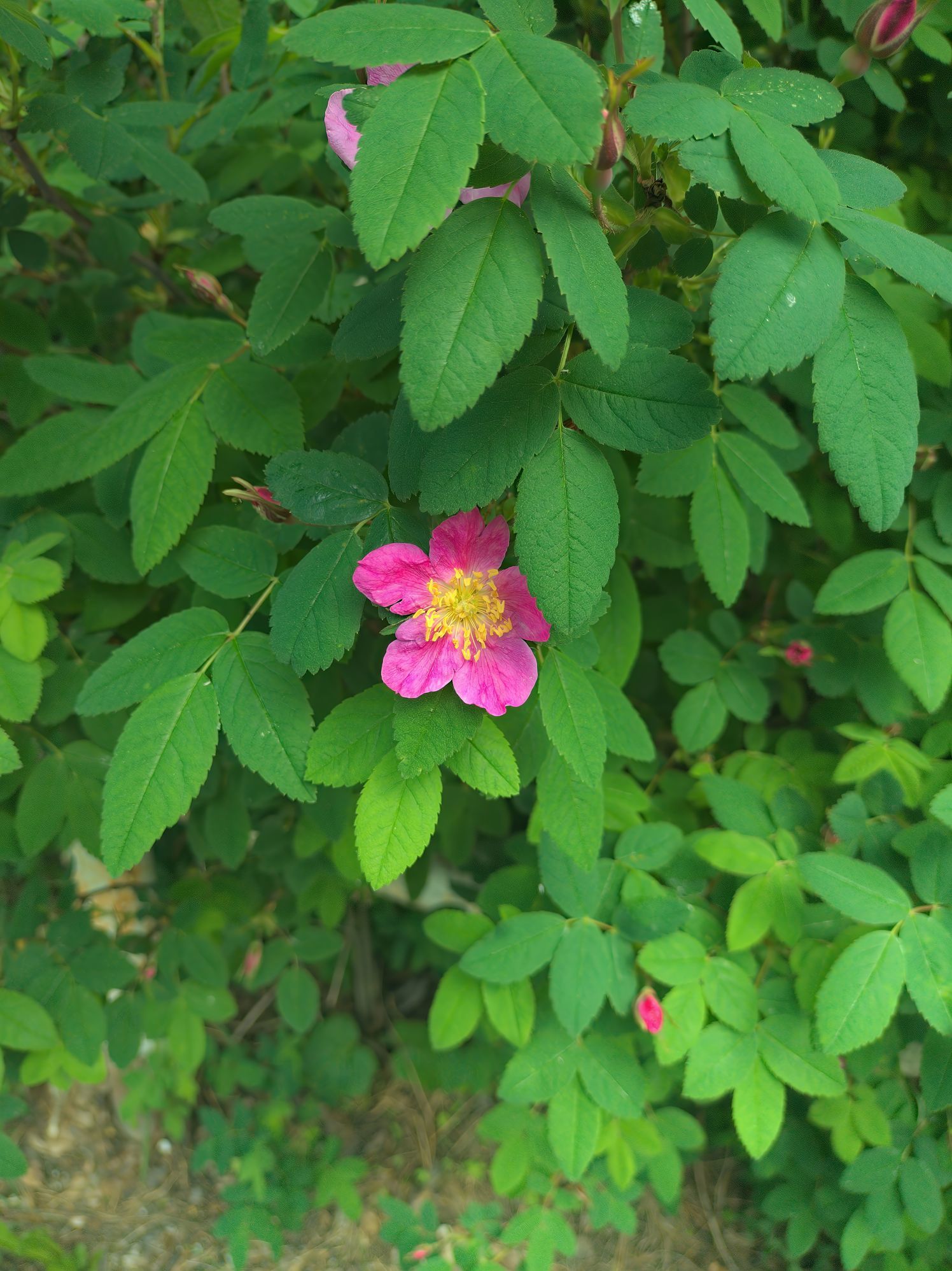 photo5.jpg