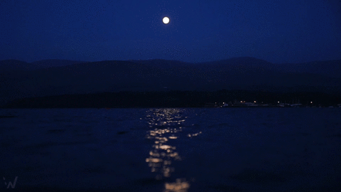img_0858.gif