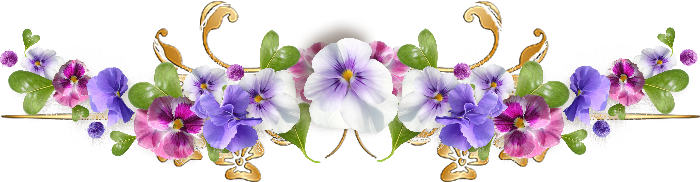 fef632b834d24ed8d536c6baacf465a5.png