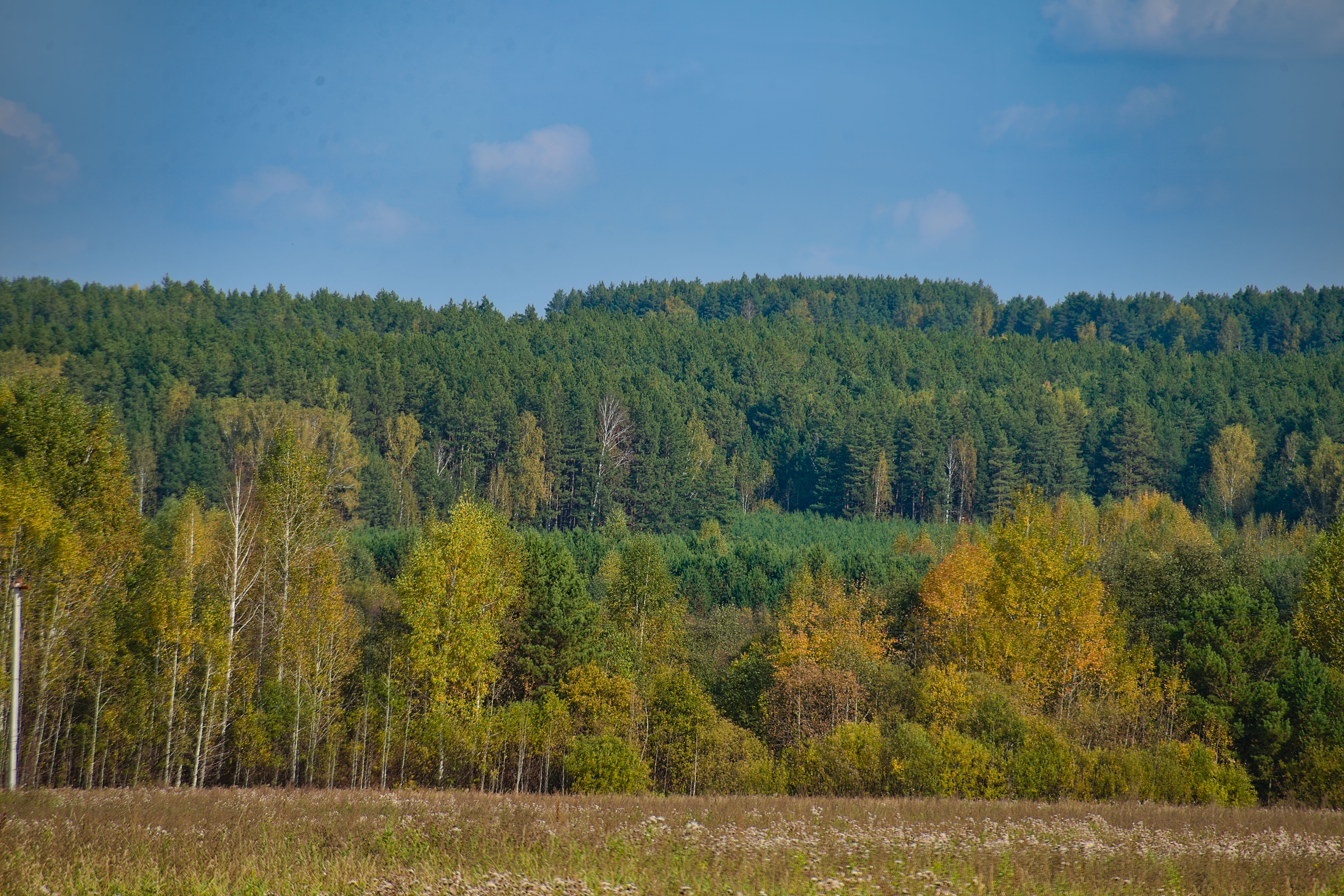 dsc_3672.jpeg