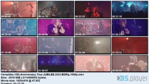 Versailles – 15th Anniversary Tour Jubilee (2023) BDRip 1080p Versailles15thanniversarytourjubilee2023bdrip