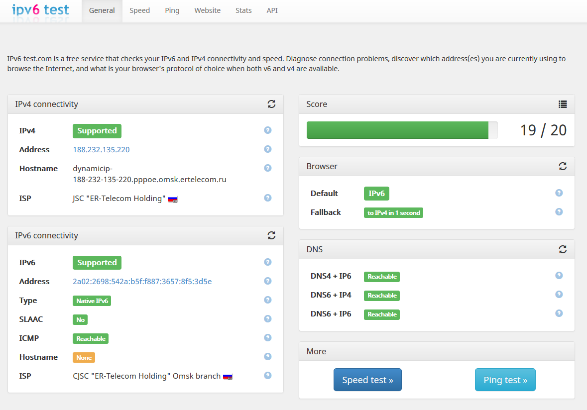 Ping site. Ipv6 Test. Ipv4 DNS С 0 Ping. Ipv6 to HOSTNAME. Net browser.