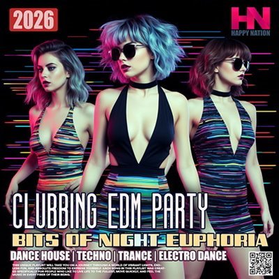 VA - Bits Of Night Euphoria (2026)