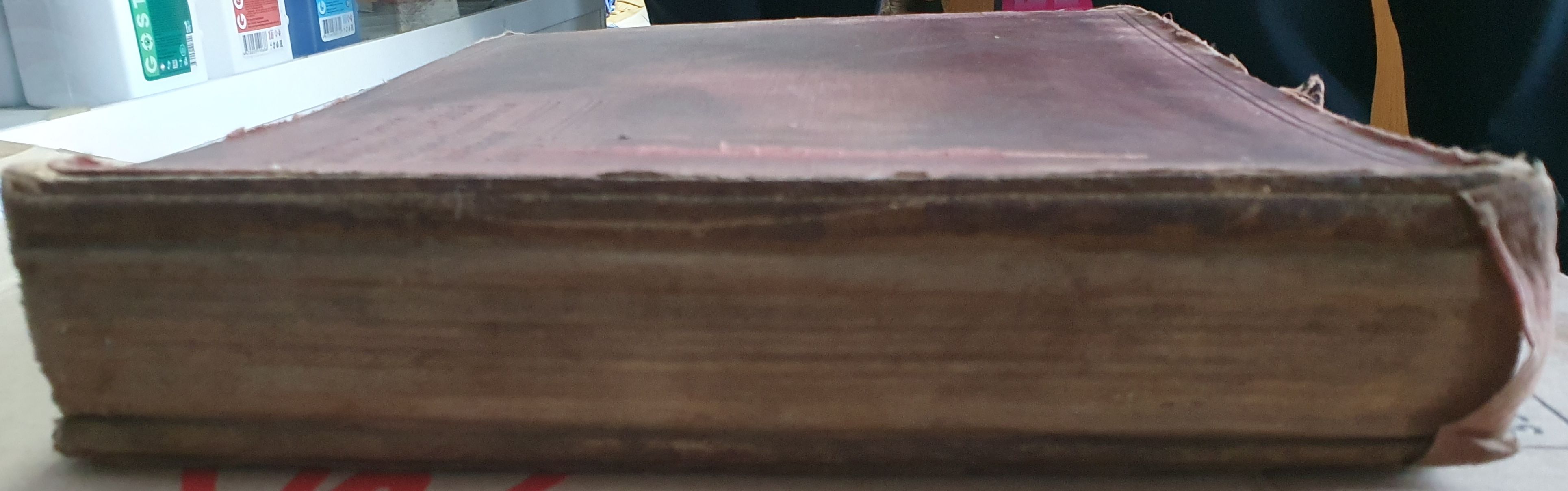 20241207_115156.jpg