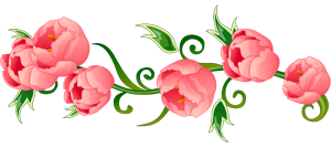 6e68bab3f924b08745028ea1ad6e10be.png