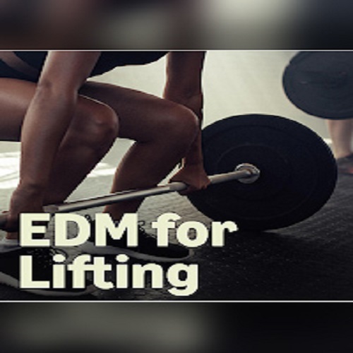 VA - EDM for Lifting (2026)