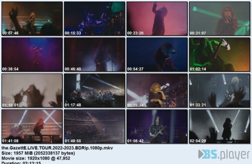 thegazettelivetour2022 2023bdrip - the GazettE – Live Tour 2022-2023 (2024) BDRip 1080p