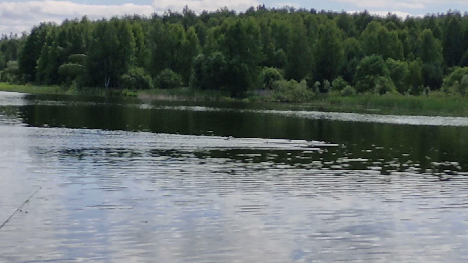 vid_20250618_124132.jpg